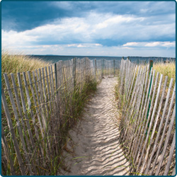 Independat Psychological Evaluations