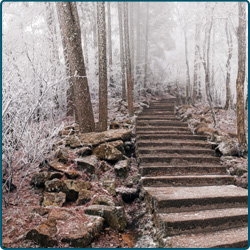 Why is it Difficult to Find Effective Treatment?