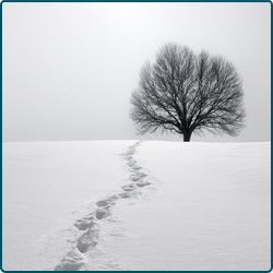 Associated Features of PTSD